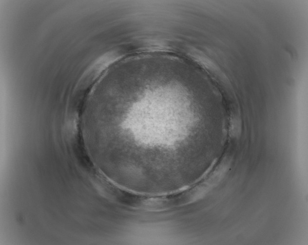 X0000113541161200910161406