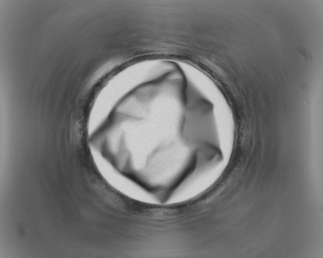 X0000113541163200910161406
