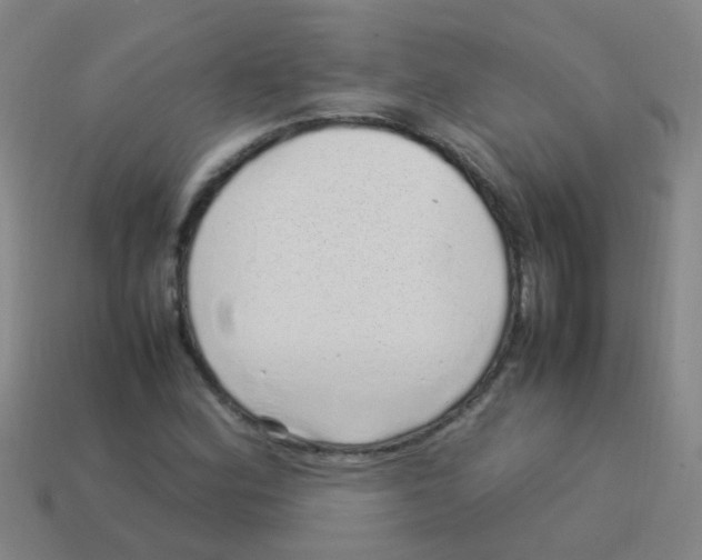 X0000113541164200910161406