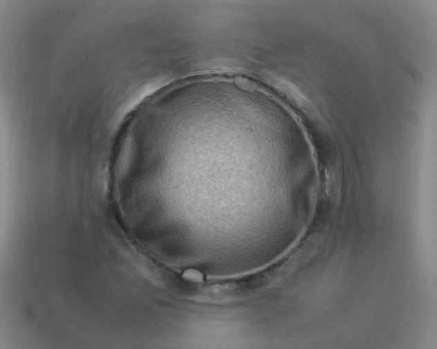 X0000113541165200910161406