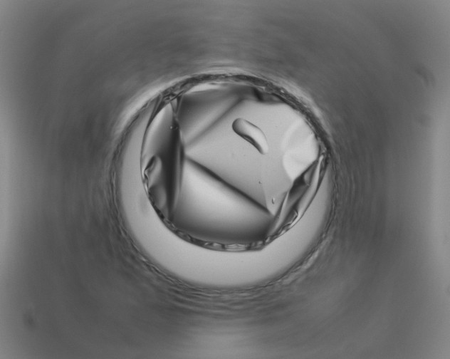X0000113541167200910161406