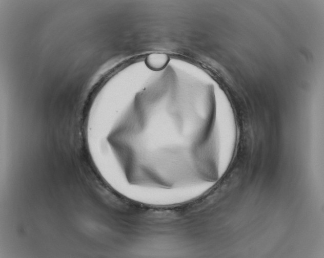 X0000113541168200910161406