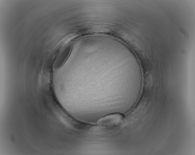 X0000113541169200910161406