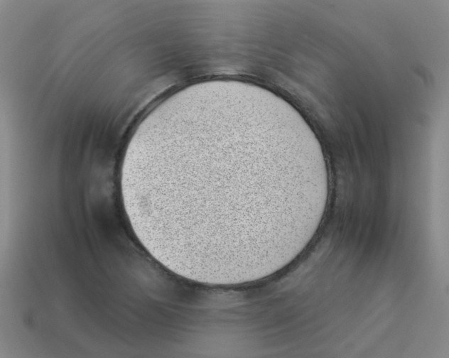 X0000113541170200910161406