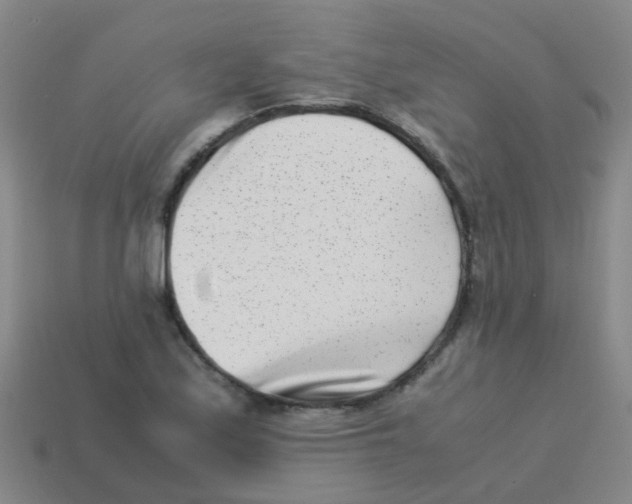 X0000113541171200910161406