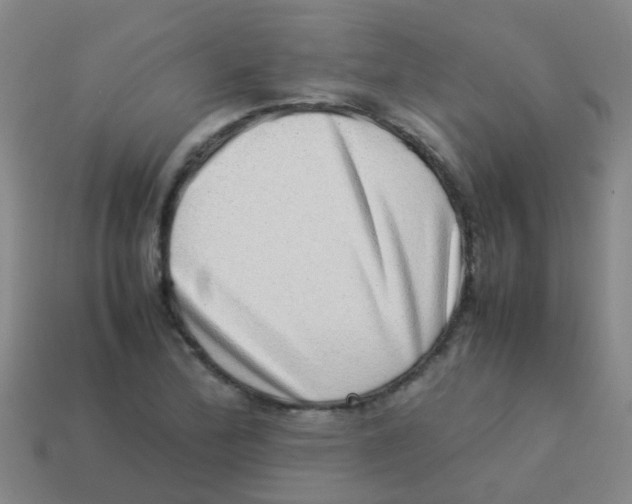 X0000113541172200910161406