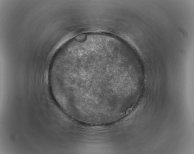 X0000113541173200910161406