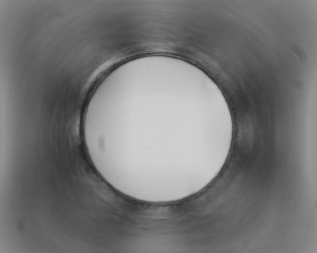 X0000113541174200910161406