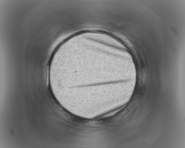 X0000113541175200910161406