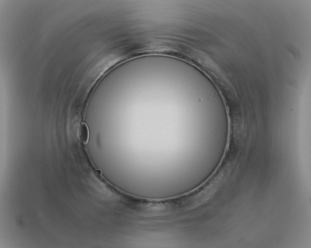 X0000113541177200910161406