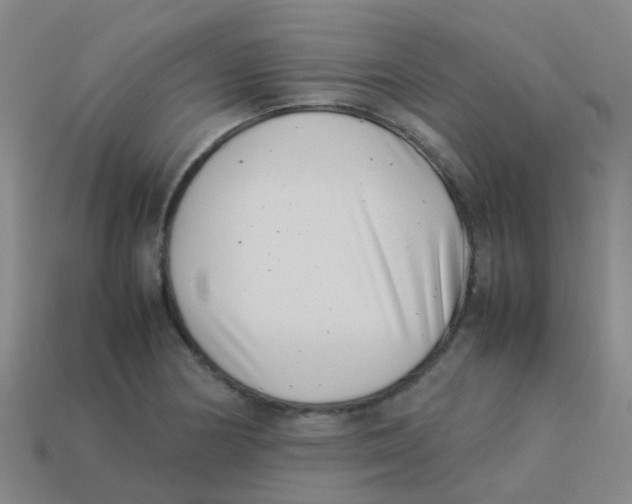 X0000113541178200910161406