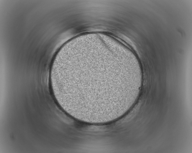 X0000113541179200910161406