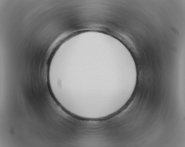 X0000113541180200910161406