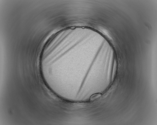 X0000113541181200910161405