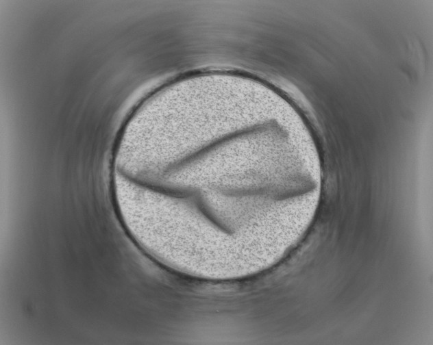 X0000113541183200910161405