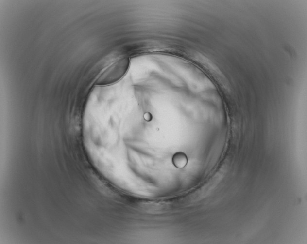 X0000113541185200910161405