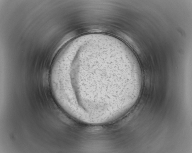 X0000113541186200910161405