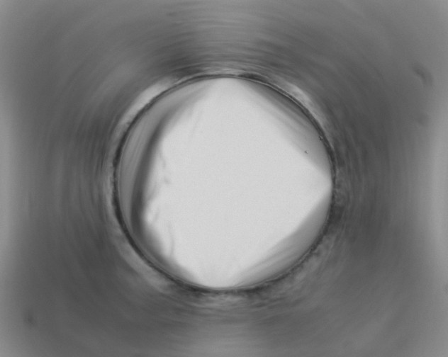 X0000113541187200910161405