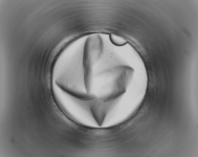 X0000113541188200910161405