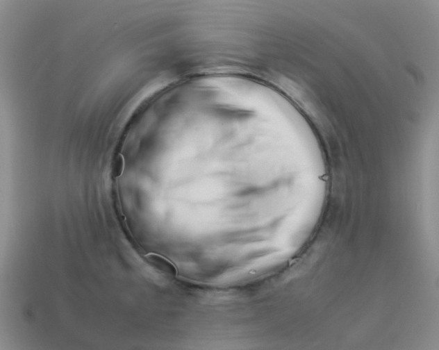 X0000113541189200910161405
