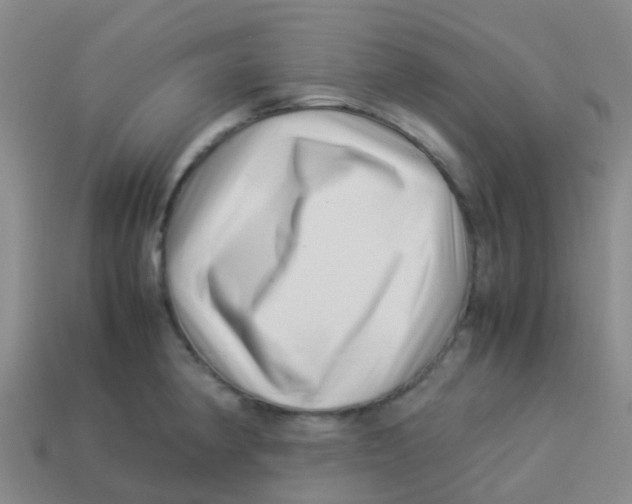 X0000113541190200910161405