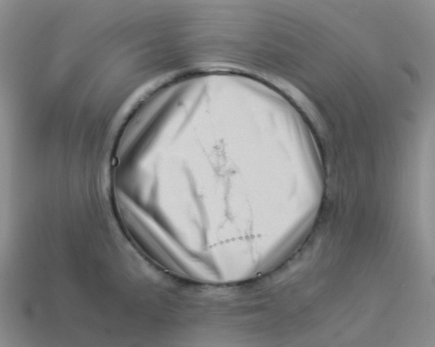 X0000113541191200910161405