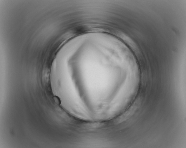 X0000113541193200910161405