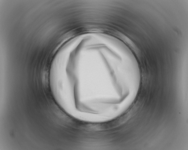 X0000113541194200910161405