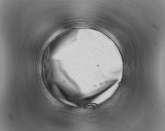 X0000113541195200910161405