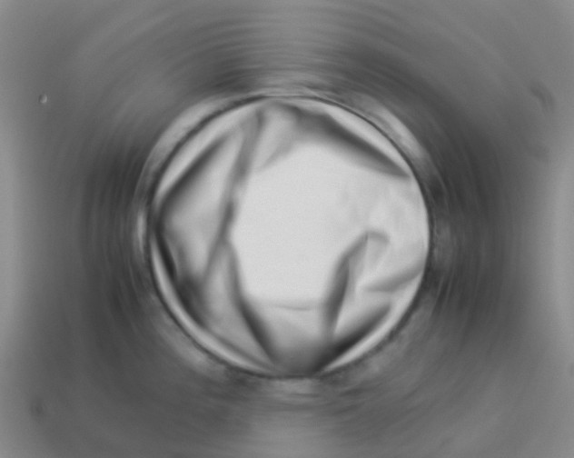 X0000113541196200910161405