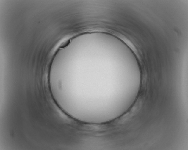 X0000113541197200910161405