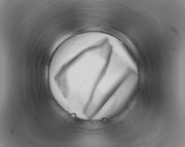 X0000113541198200910161405