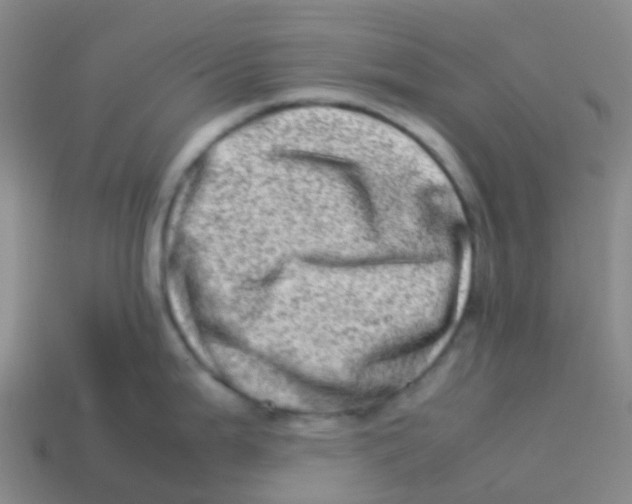 X0000113541199200910161405