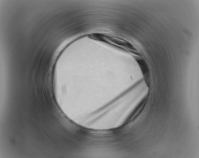 X0000113541200200910161405