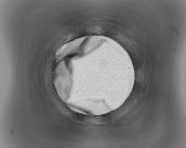 X0000113541201200910161405