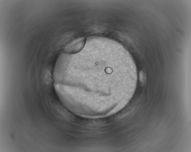 X0000113541203200910161405