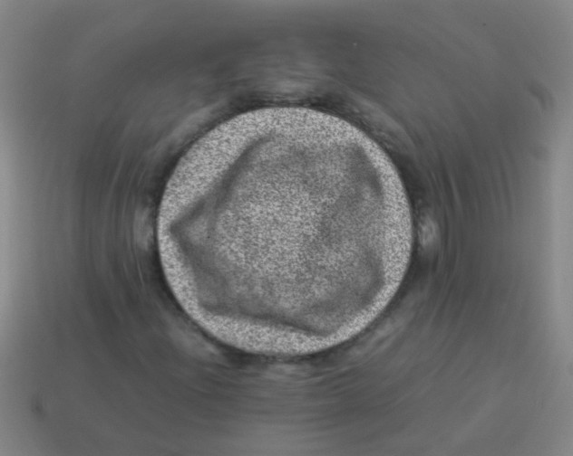 X0000113541204200910161405