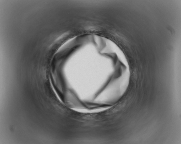 X0000113541205200910161405