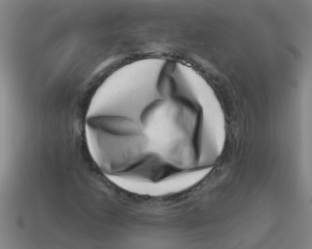 X0000113541206200910161405