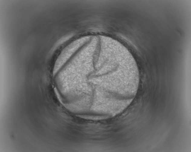 X0000113541207200910161405