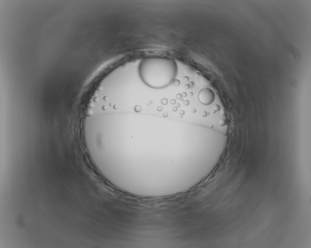 X0000113541208200910161405