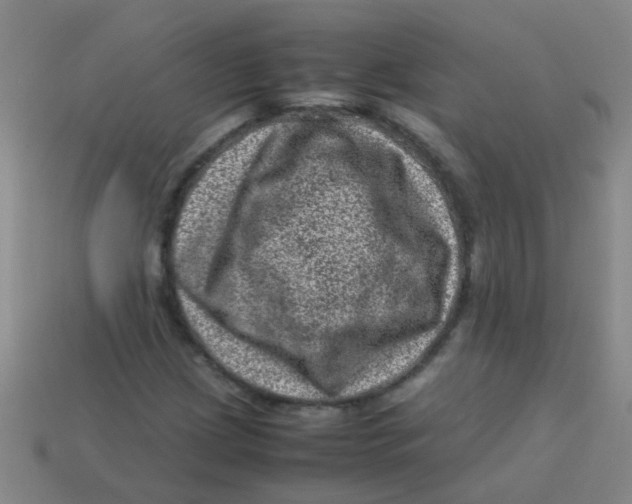 X0000113541209200910161405