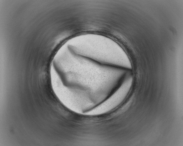 X0000113541210200910161405