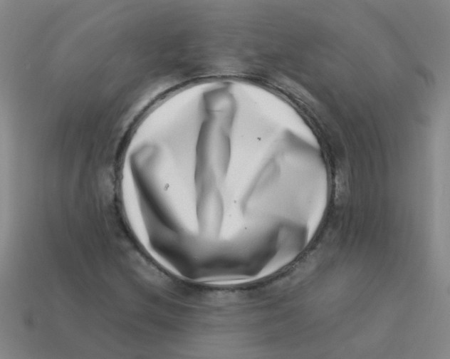 X0000113541212200910161405