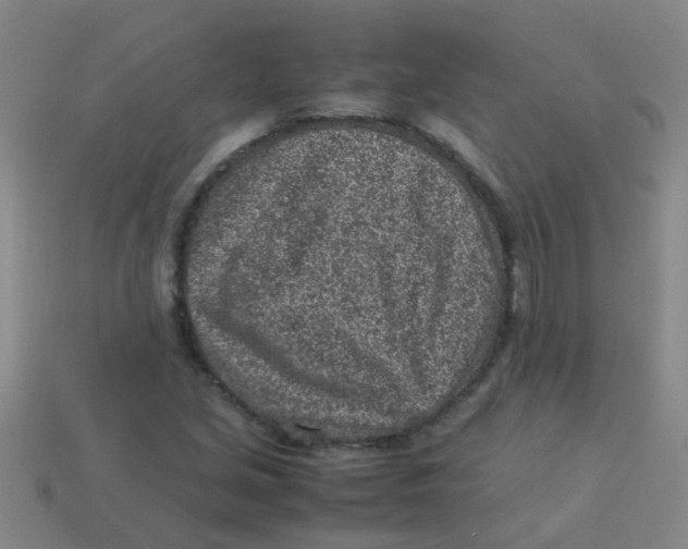 X0000113541213200910161405