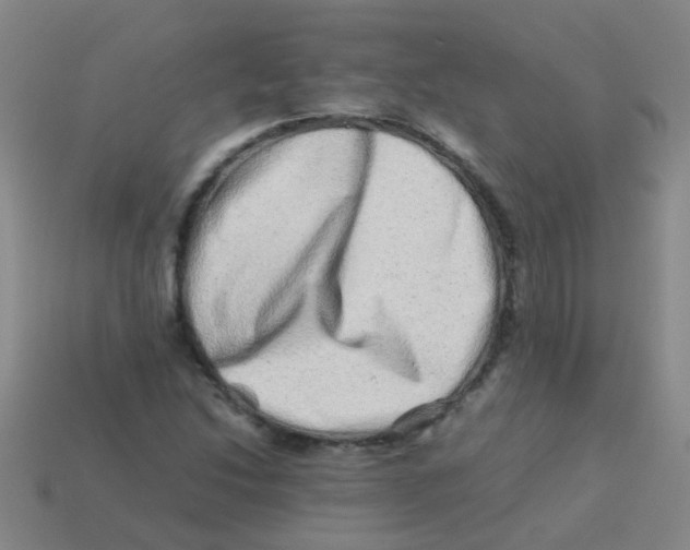 X0000113541214200910161405