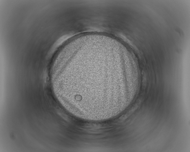 X0000113541215200910161405