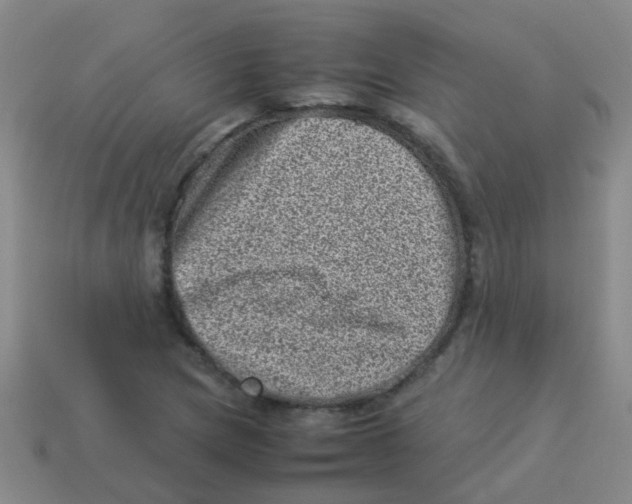 X0000113541217200910161405
