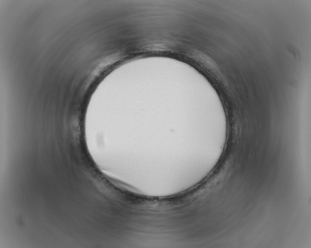 X0000113541218200910161405