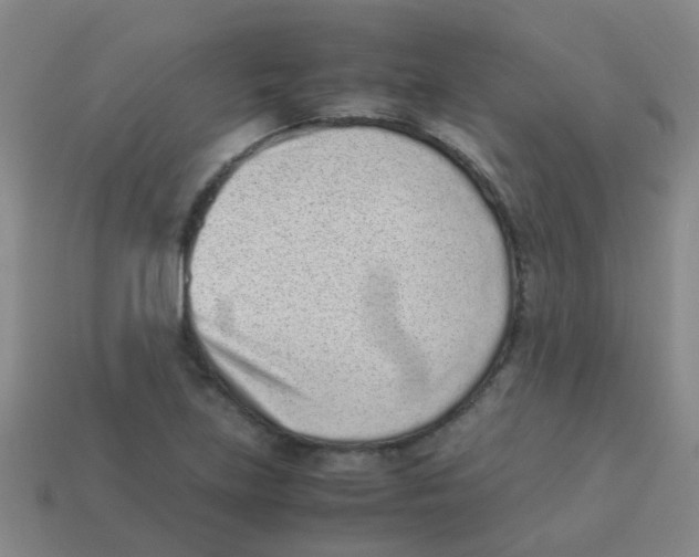 X0000113541219200910161405